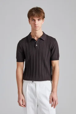 Barto Stripe Poloshirt Brown Elk