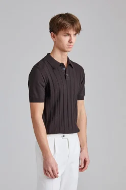 Barto Stripe Poloshirt Brown Elk