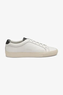 Dash White Calf
