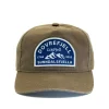 Dovrefjell-Sunndalsfjella Caps Gråbrun