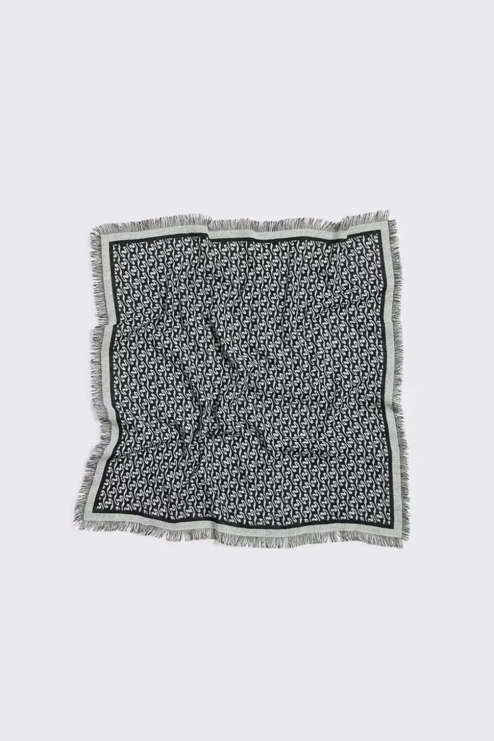 Fine Wool Scarf Monogram Ecru Mix