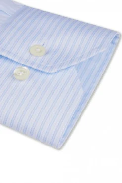Fitted Body Lt Blue Stripe