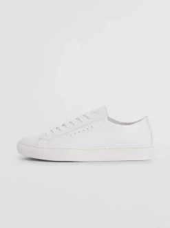 Kate Low Sneaker White