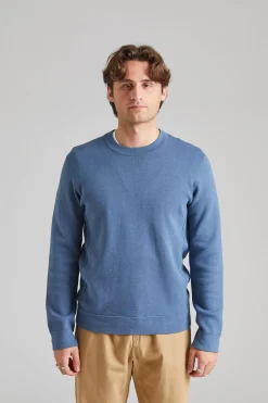 Luis Swedish Blue