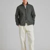 Motion Dark Olive