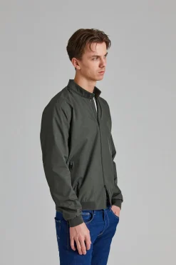 Plain Dark Olive