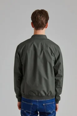 Plain Dark Olive