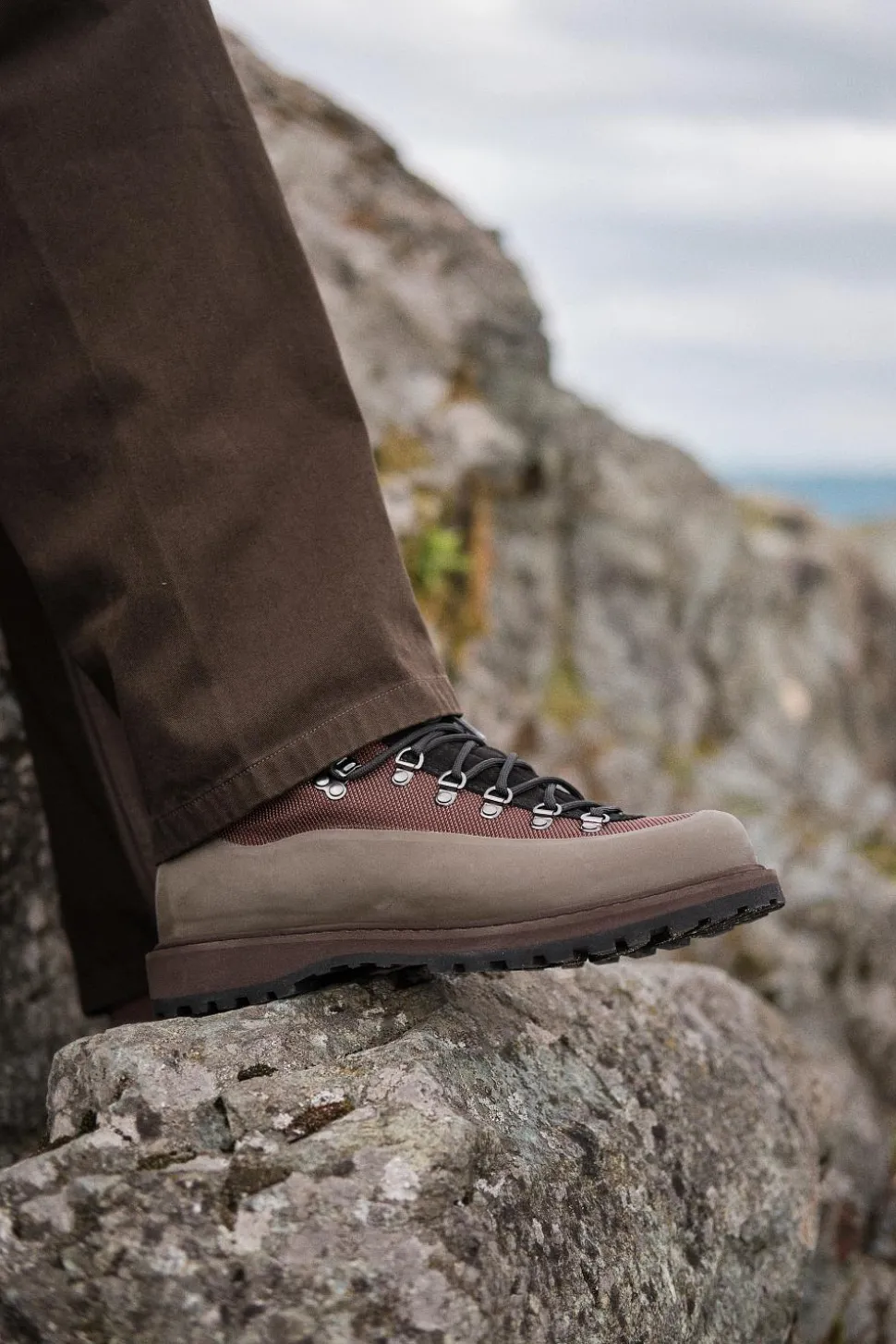 Roccia Vet Sport Brown Fabric