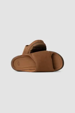 Solano Slide Chestnut