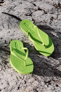 Tapered Lime Green