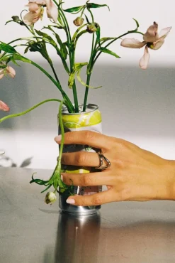 Thorn Band II