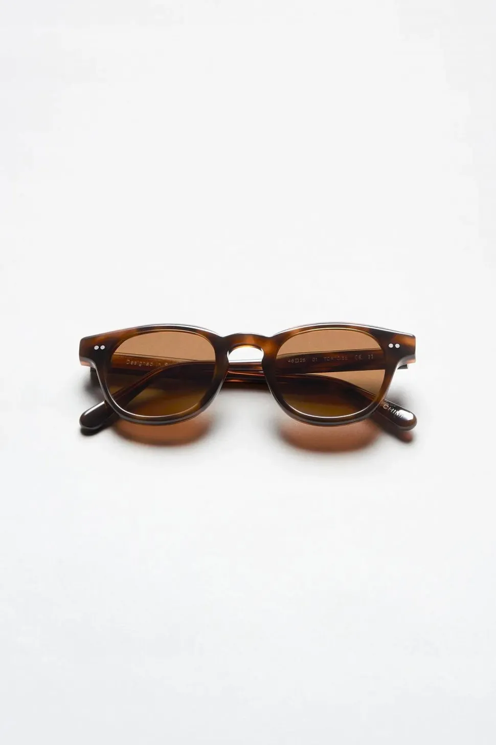 01 Tortoise