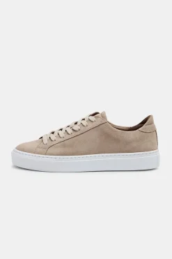 Type Earth Suede